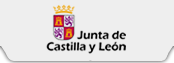 Junta de Castilla y León